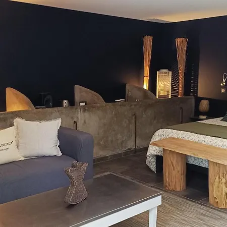 Guest house Les Mesanges 3*